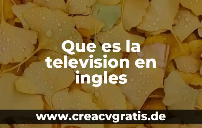 Que es hoy es en ingles 4 Que es la television en ingles