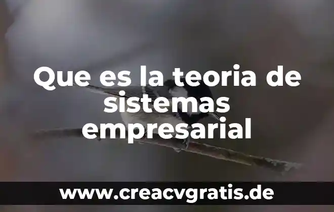 Auditoria en sistemas que es 6 Que es la teoria de sistemas empresarial