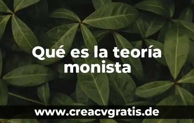 Qué es una teoría psiquiátricas 3 Qué es la teoría monista