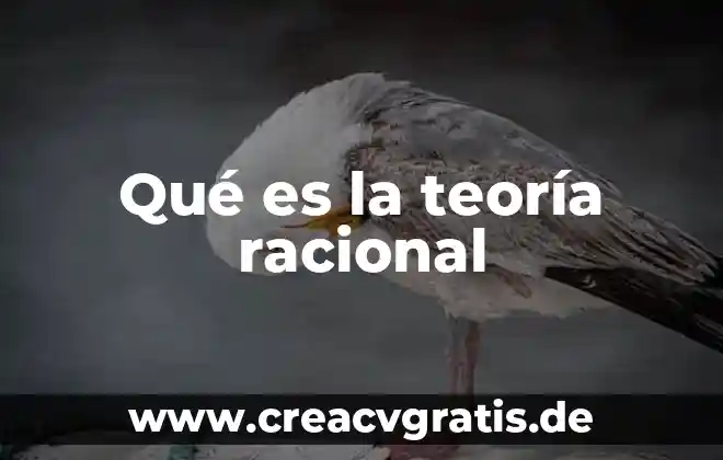 Qué es un número racional finito 7 Qué es la teoría racional