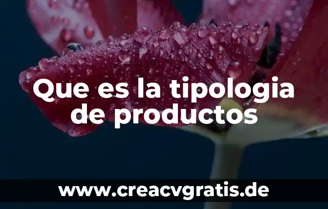 Que es el diseño de productos tipos 4 Que es la tipologia de productos