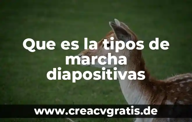 Que es el narrador y que tipos hay 4 Que es la tipos de marcha diapositivas