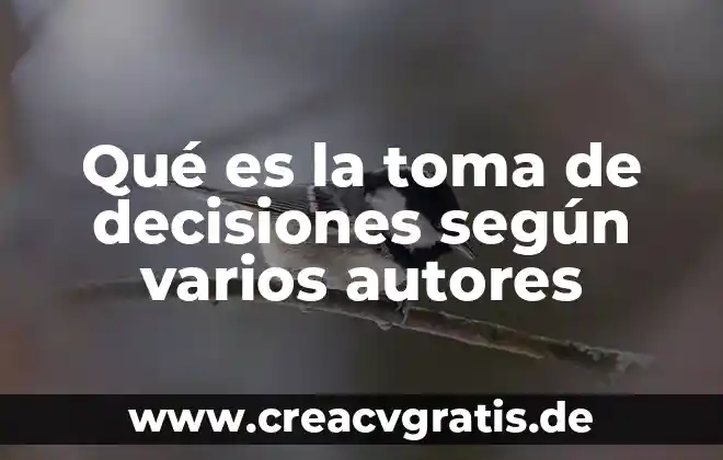 Que es direccion segun varios autores 8 Qué es la toma de decisiones según varios autores