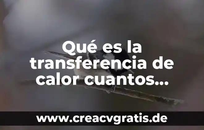 Que es un conector y cuantos tipos hay 7 Qué es la transferencia de calor cuantos tipos existen
