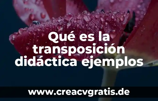 Que es nombres propios y comunes y ejemplos 6 Qué es la transposición didáctica ejemplos