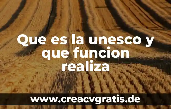 Qué es un crédito nombres 8 Que es la unesco y que funcion realiza