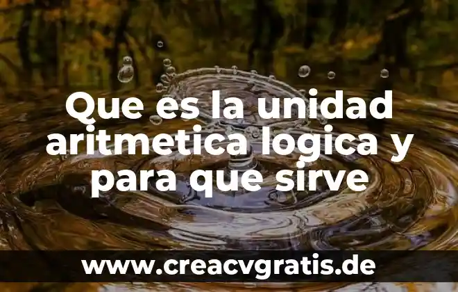 Que es la aritmetica y sus ejemplos 5 Que es la unidad aritmetica logica y para que sirve