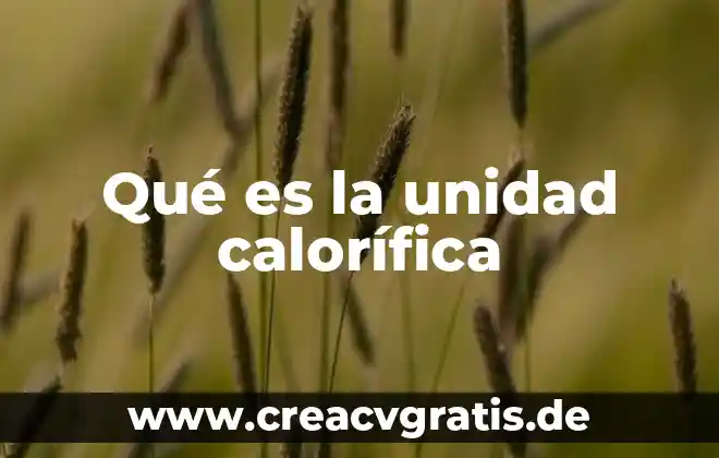 Que es la unidad para niños 4 Qué es la unidad calorífica