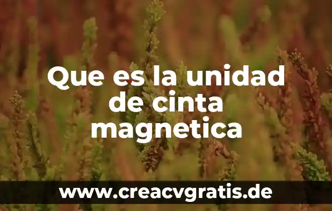 Qué es energía magnética para colorear 6 Que es la unidad de cinta magnetica