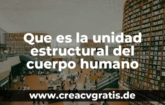 Que es el ser humano espiritual mapa mental 6 Que es la unidad estructural del cuerpo humano