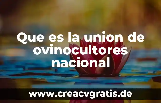 Qué es unión química en química 4 Que es la union de ovinocultores nacional