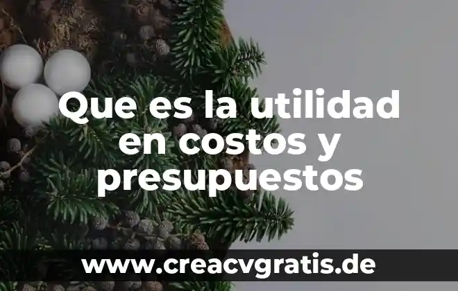 Que es un nivel en presupuestos 4 Que es la utilidad en costos y presupuestos