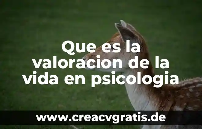 Metas y sueños en la vida que es 6 Que es la valoracion de la vida en psicologia