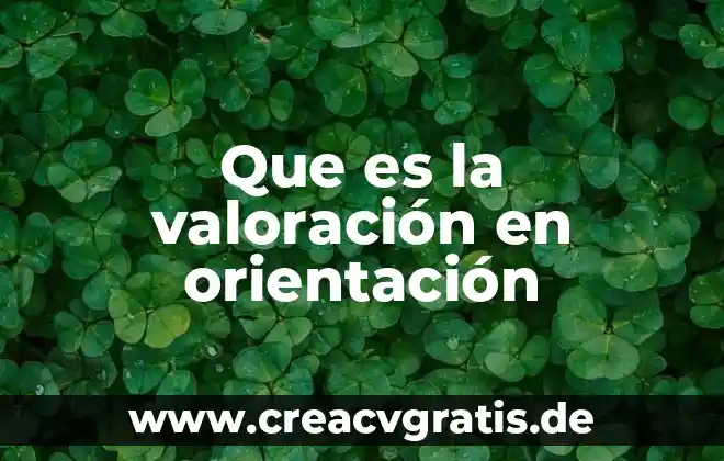 Que es orientacion para decisiones definicion 4 Que es la valoración en orientación