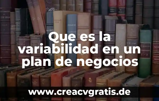 Que es un sistema de inteligencia de negocios 3 Que es la variabilidad en un plan de negocios