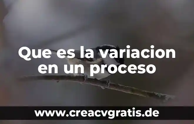 Número algebra y variación que es 6 Que es la variacion en un proceso