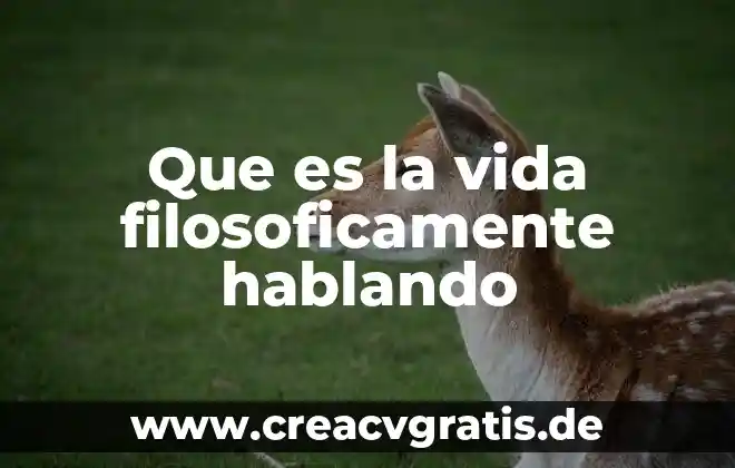 Metas y sueños en la vida que es 8 Que es la vida filosoficamente hablando