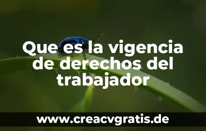 Qué es comprar los derechos de un terreno 3 Que es la vigencia de derechos del trabajador
