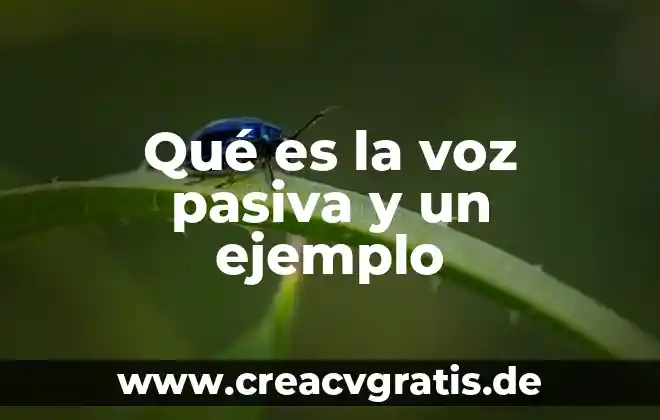 Que es ser pasiva en la cama 8 Qué es la voz pasiva y un ejemplo