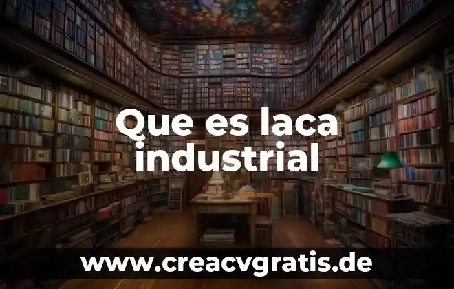 Que es usuario industrial 3 Que es laca industrial