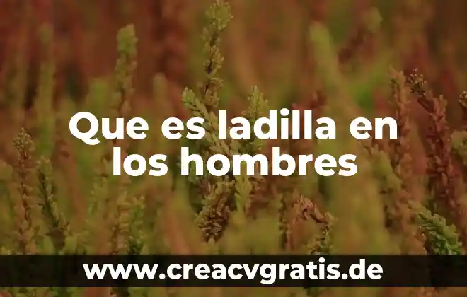Que es un faje para los hombres 6 Que es ladilla en los hombres