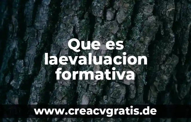 Que es la paz significado para niños 3 Que es laevaluacion formativa