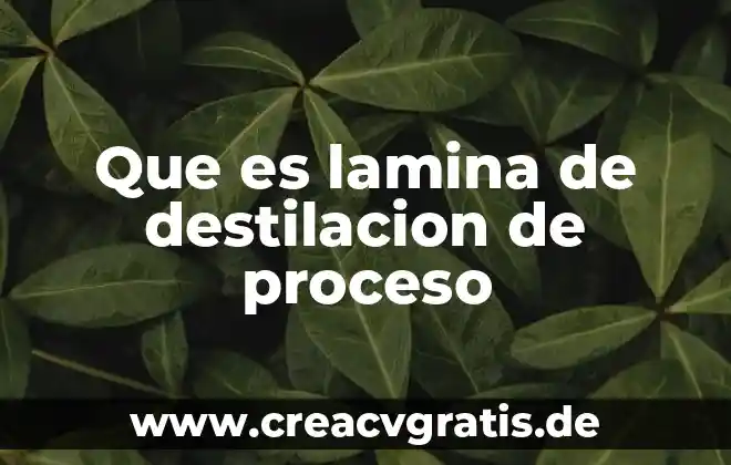 Que es proceso de conciencia 7 Que es lamina de destilacion de proceso