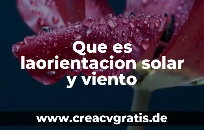 Qué es significado nominativo 7 Que es laorientacion solar y viento