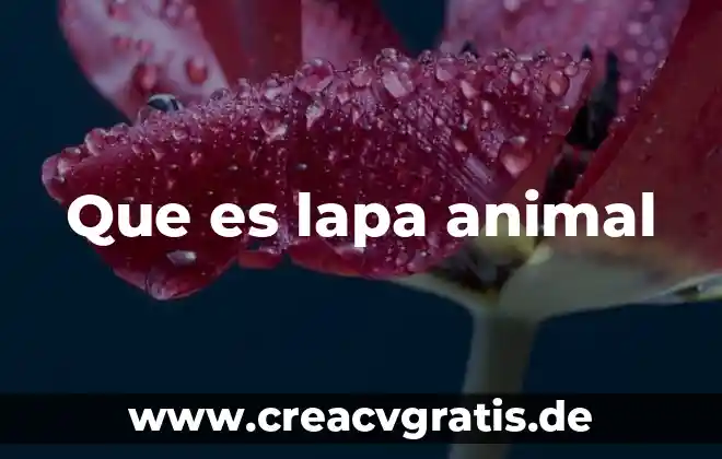 Que es el animal politico pagina 4 Que es lapa animal