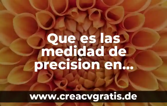 Tipos de datos en estadística 5 Que es las medidad de precision en estadistica