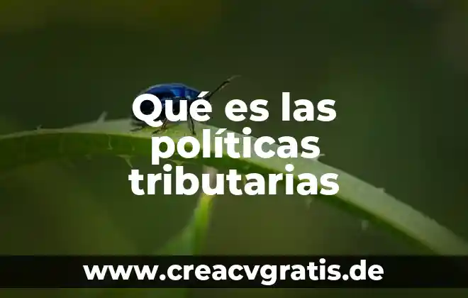 Que es la evaluacion de las politicas 6 Qué es las políticas tributarias