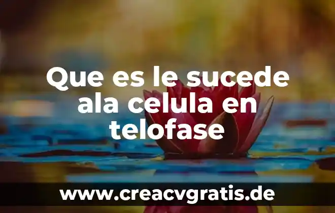 Que es una celula animal y que lo compone 7 Que es le sucede ala celula en telofase