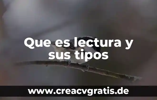 Según Emilia Ferreiro qué es la lectura 8 Que es lectura y sus tipos