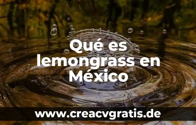 Por que es relevante conocer la poblacion indígena en mexíco 7 Qué es lemongrass en México