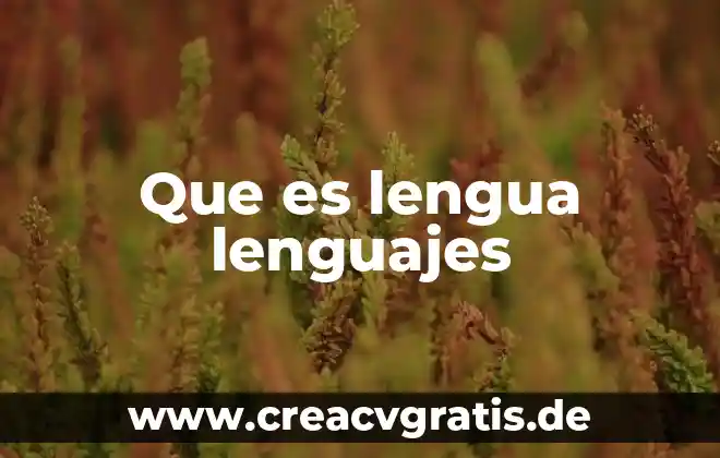 Que es el alfabeto dentro de los lenguajes formales 3 Que es lengua lenguajes