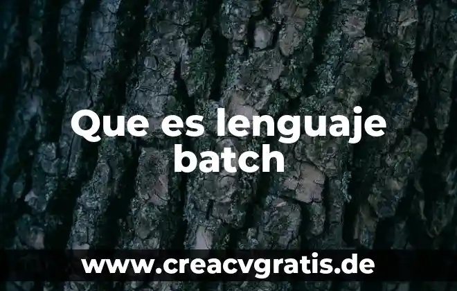 Que es la conciencia del lenguaje 8 Que es lenguaje batch