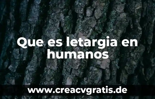Que es un pictograma de seguridad y para que sirve 3 Que es letargia en humanos