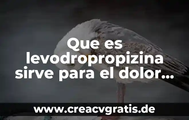 Conocimientos populares de que es dolor de cabeza 5 Que es levodropropizina sirve para el dolor de garganta