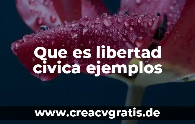 Que es un asunto privado civica y etica 8 Que es libertad civica ejemplos
