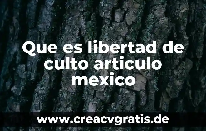 Que es libertad tipos 6 Que es libertad de culto articulo mexico