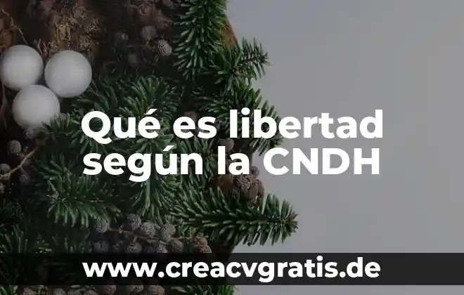 Ensayo de que es la libertad corto 5 Qué es libertad según la CNDH