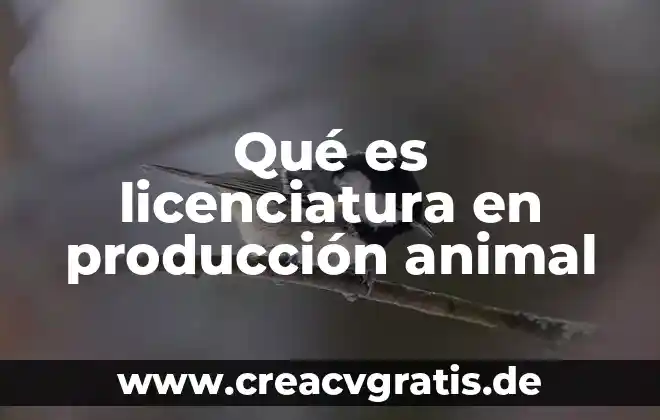 Que es la licenciatura en administracion de empresas mineras 4 Qué es licenciatura en producción animal