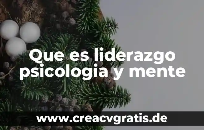 Qué es el modelo sistémico en psicología 5 Que es liderazgo psicologia y mente