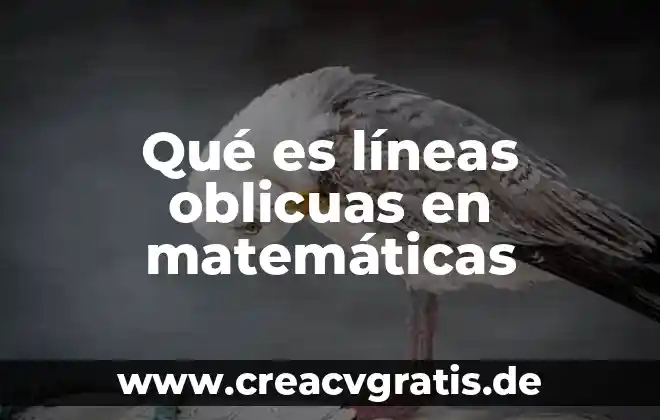 Qué es el punto de equilibrio en varias líneas 3 Qué es líneas oblicuas en matemáticas