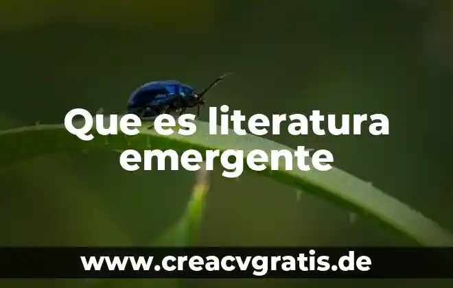 Que es hipertextos en literatura 6 Que es literatura emergente