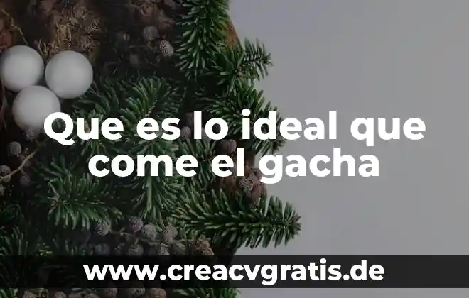 Que es la sociedad ideal filosofia 3 Que es lo ideal que come el gacha