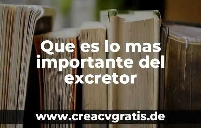 Que es ser hambreado 3 Que es lo mas importante del excretor