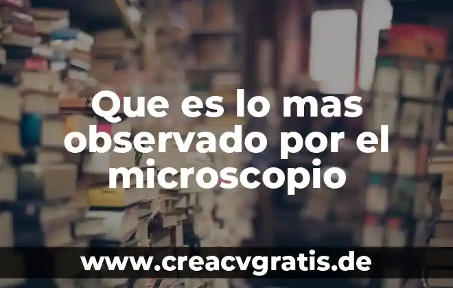 Qué es el microscopio y los diferentes tipos que hay 5 Que es lo mas observado por el microscopio