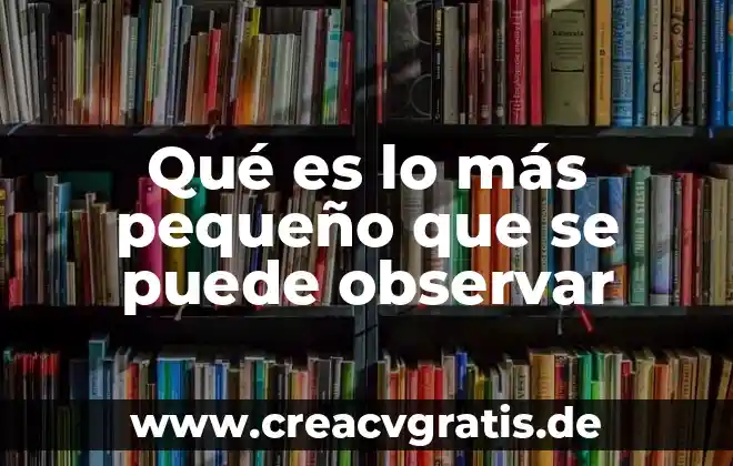 Que es la moral resumen pequeño 3 Qué es lo más pequeño que se puede observar