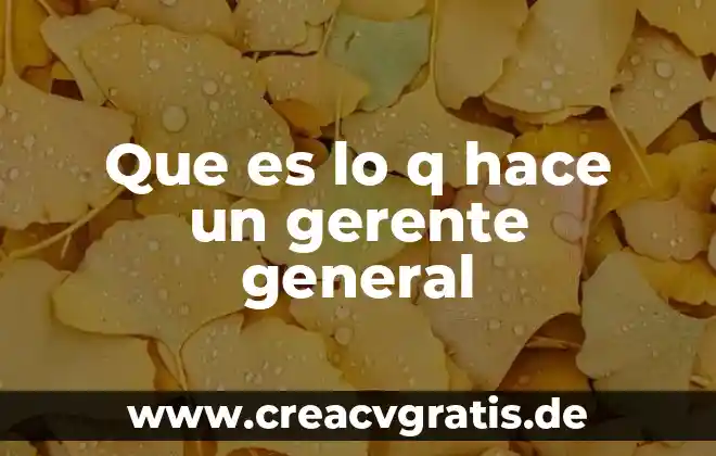 Que es un congreso y como se hace 4 Que es lo q hace un gerente general